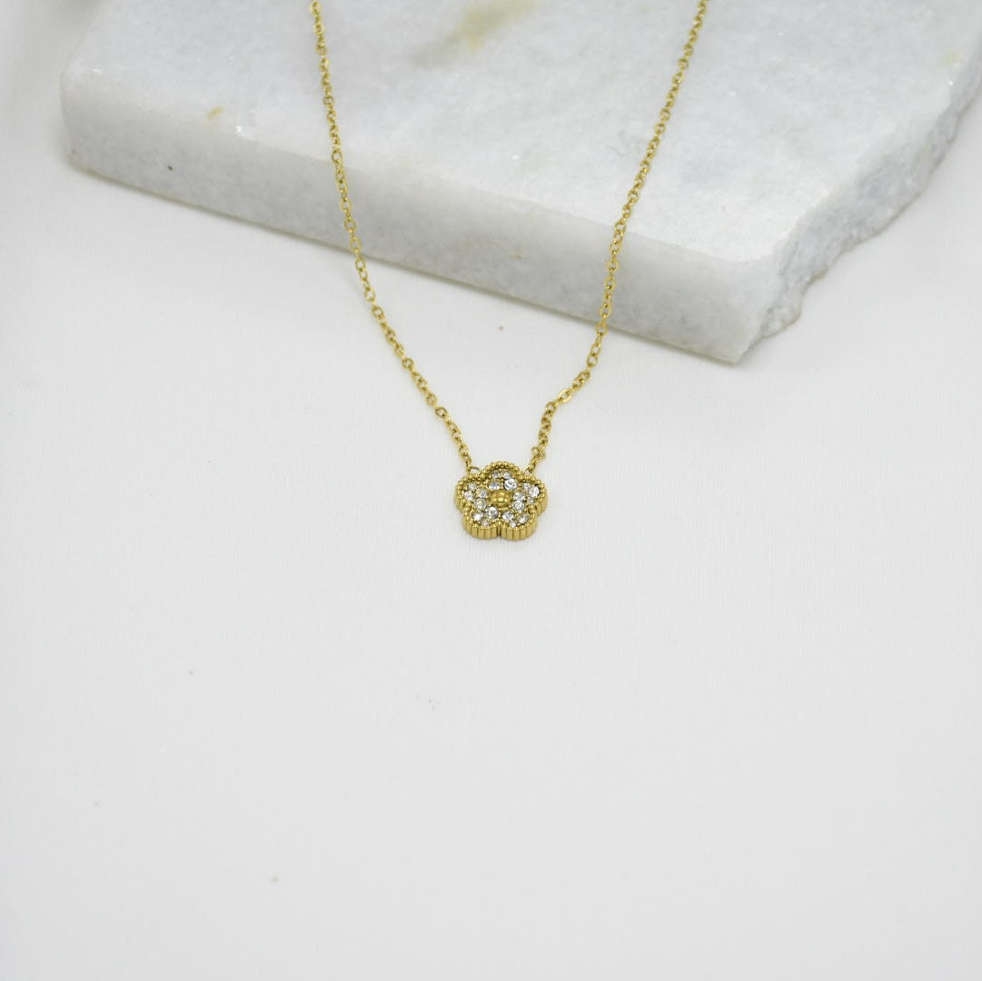 COLLAR GOLD HOLY