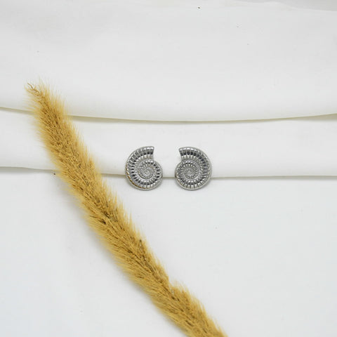 ARETES CHUNKY SILVER ANITA