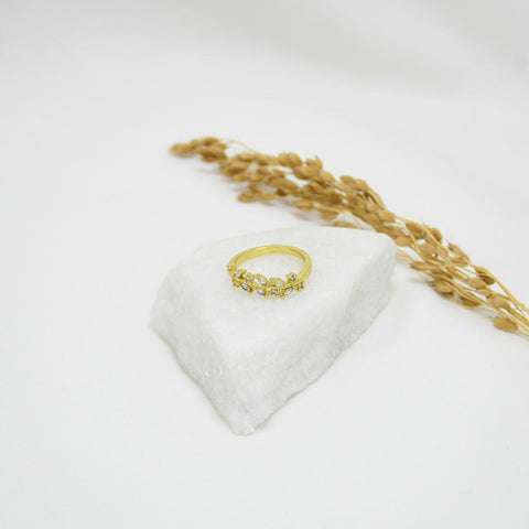 ANILLO GOLD MlRANDA