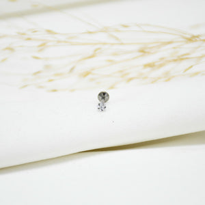 PIERCING DE TITANIO SILVER JENNY