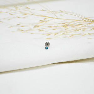 PIERCING DE TITANIO SILVER DELFINA