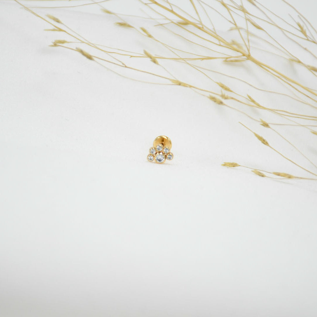 PIERCING TP GOLD IVANA