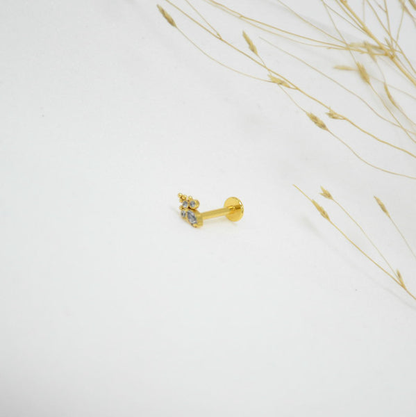 PIERCING TP GOLD SUNNY