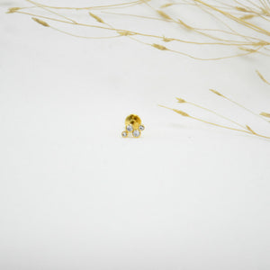 PIERCING TP GOLD RENATE