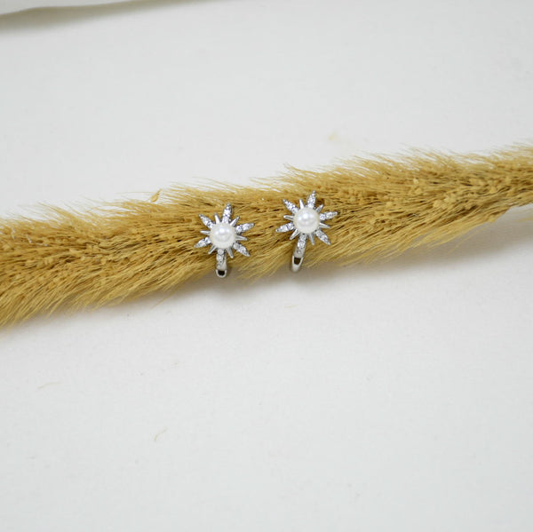 ARGOLLAS SILVER KENIA
