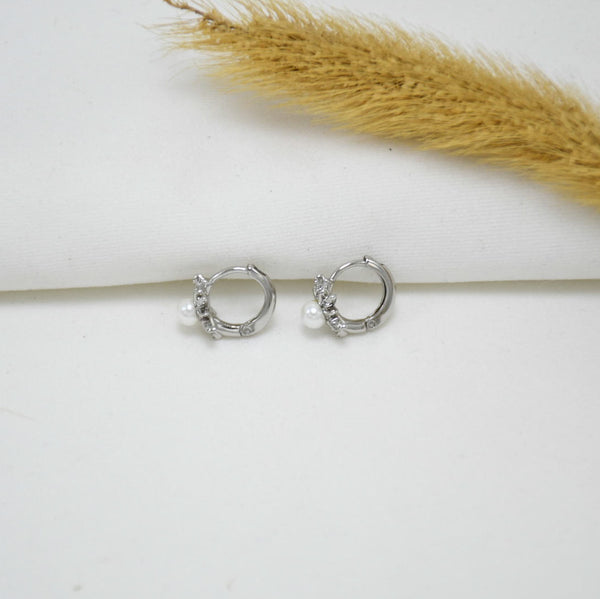 ARGOLLAS SILVER KENIA