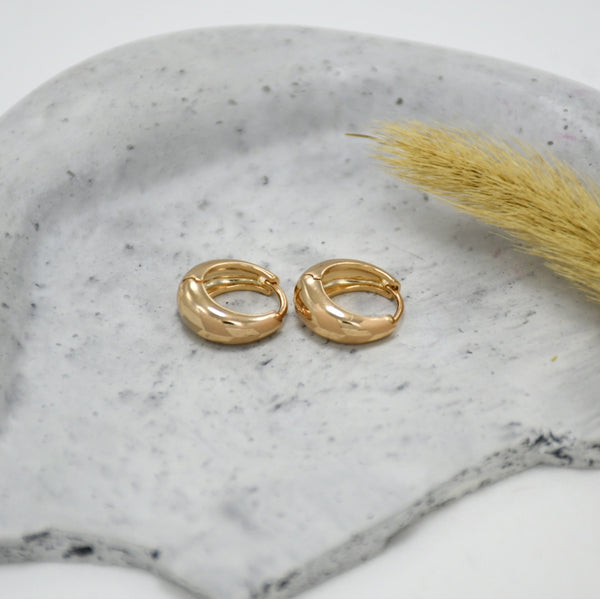 ARGOLLAS LISA MAGALY